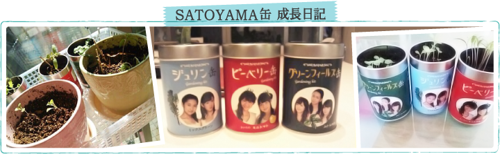 SATOYAMA缶成長日記